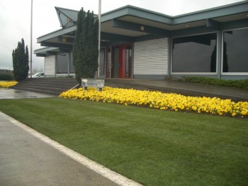 Royal Suite Heathrow new Turf