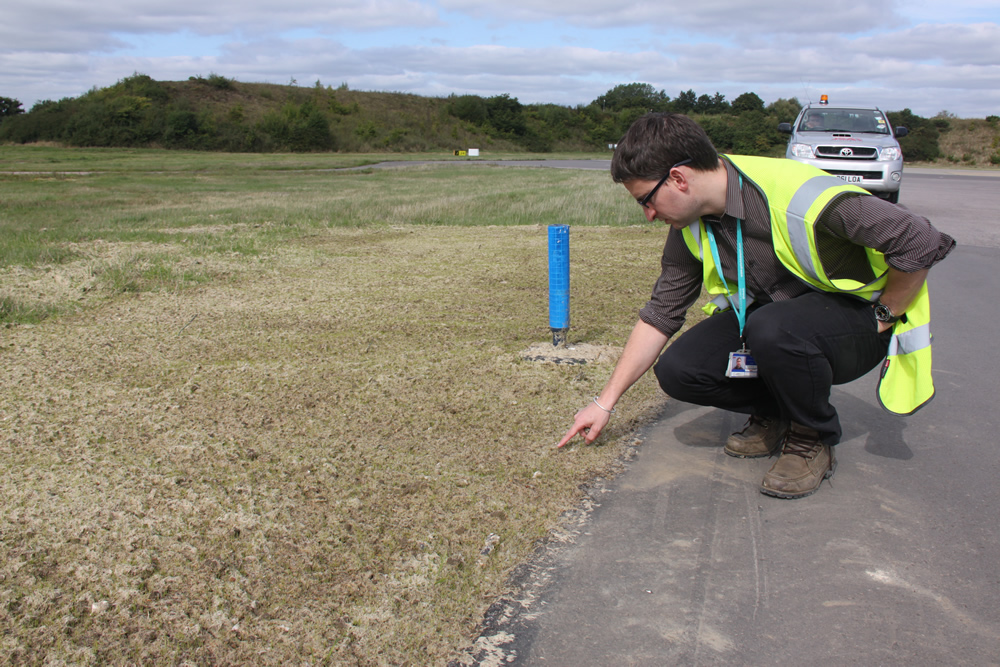 Cambridge Airport Seeding