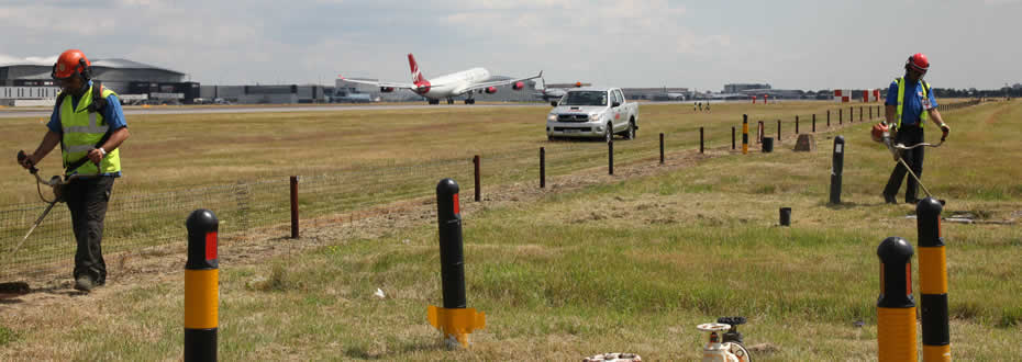 Strimming grass adjacent to Heathrow runway