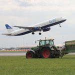 Airfield Habitat Management