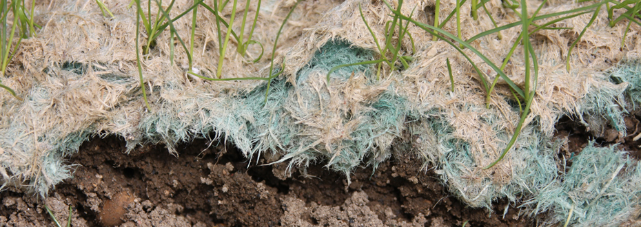 Hydroseeding Mulch