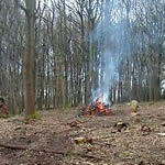 Woodland Management