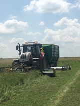 Vienna Grass Cutting