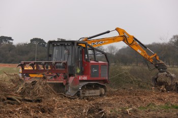 Stump Removal