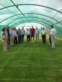 Grass designed for airports