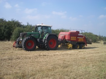 Clearing Wild Flower Meadow